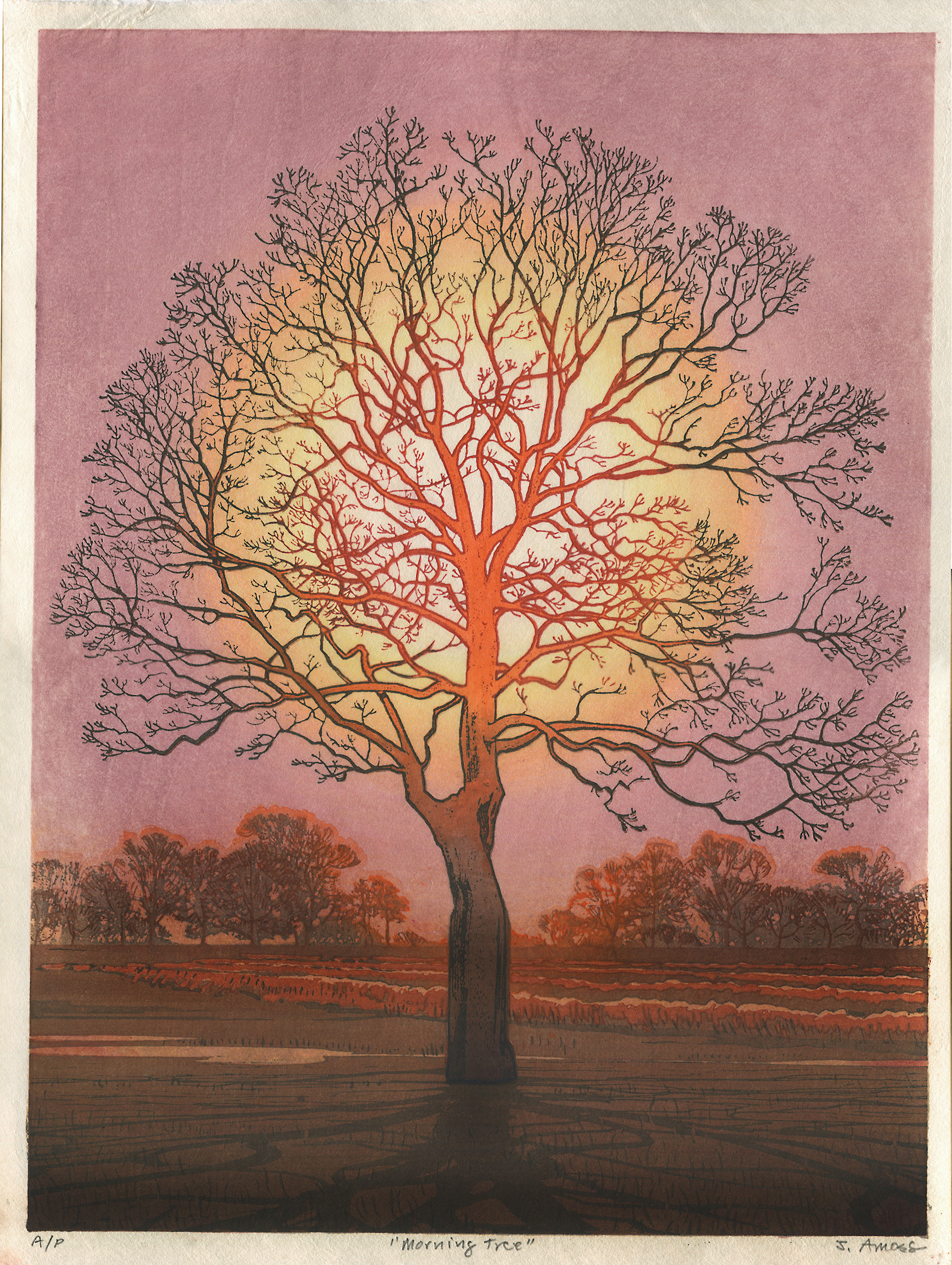 150dpi-Morning-Tree-final.jpeg